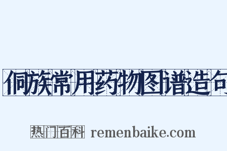 侗族常用药物图谱造句是什么意思的图片